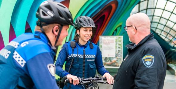 2 boa's in bij de fietsenstalling van de gemeente Eindhoven